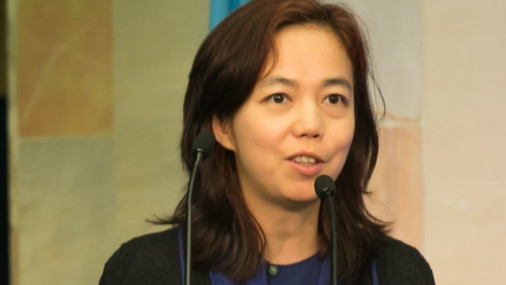 Computer scientist Fei-Fei Li speaks at the AI for Good summit in 2017.